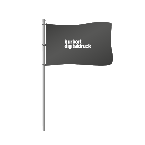 Hissflaggen